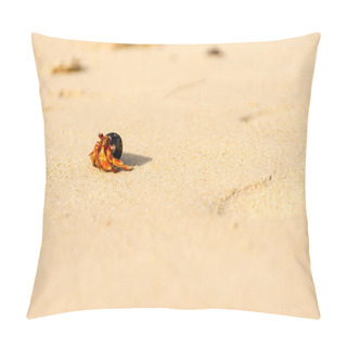 Personality  Hermit Crab On The White Sand Beach Pillow Covers