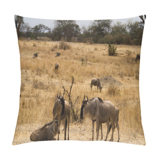 Personality  Herd Of Gnus In Tarangire National Park Pillow Covers