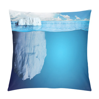 Personality  South And North Pole And All Things Related Pillow Covers
