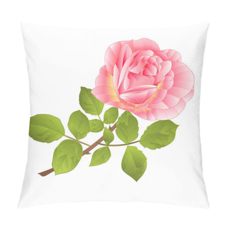 Personality  Rose Pink  Stem  On A White Background Watercolor Vintage Vector Botanical Illustration Editable Hand Draw Pillow Covers