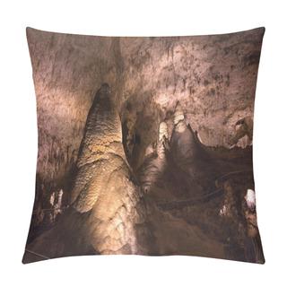 Personality  Carlsbad Caverns, New Mexico Pillow Covers
