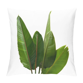 Personality  Strelitzia Reginae Leaves, Bird Of Paradise Foliage, Tropical Leaf Isolated On White Background With Clipping Path Pillow Covers