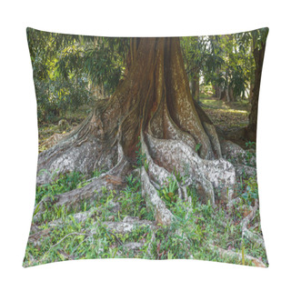 Personality  Roots Pillow Covers