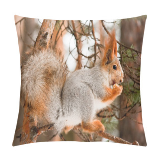 Personality  Squirrel Pillow Covers