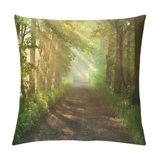Personality  Beautiful Morning In Forest Pillow Covers