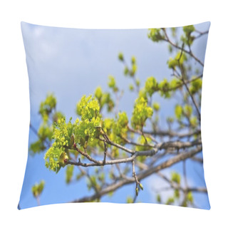 Personality  Spring Branches Pillow Covers