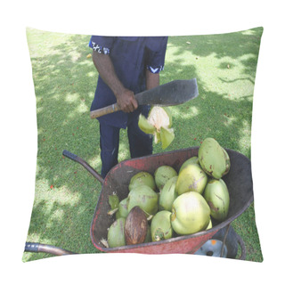 Personality  Indigenous Fijian Man Man Peels Coconut  Pillow Covers