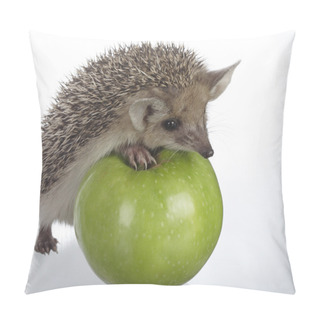 Personality  Hedgehog And Apple Pillow Covers