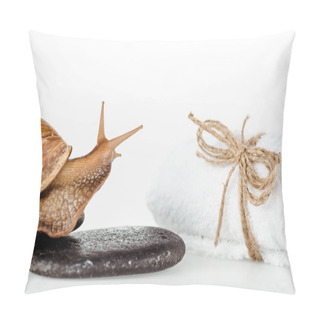 Personality  Close Up View Of Brown Snail On Spa Stones Near Cotton Towel Isolated On White Pillow Covers