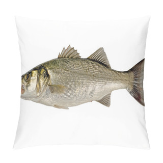 Personality  Sea Bass Isolated Pillow Covers