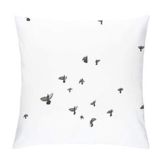 Personality  A Flock Of Pigeons Flies Across The Sky. Birds Fly Against The S Pillow Covers