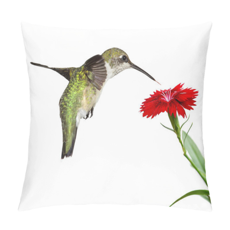 Personality  Hummingbird and a red dianthus pillow covers