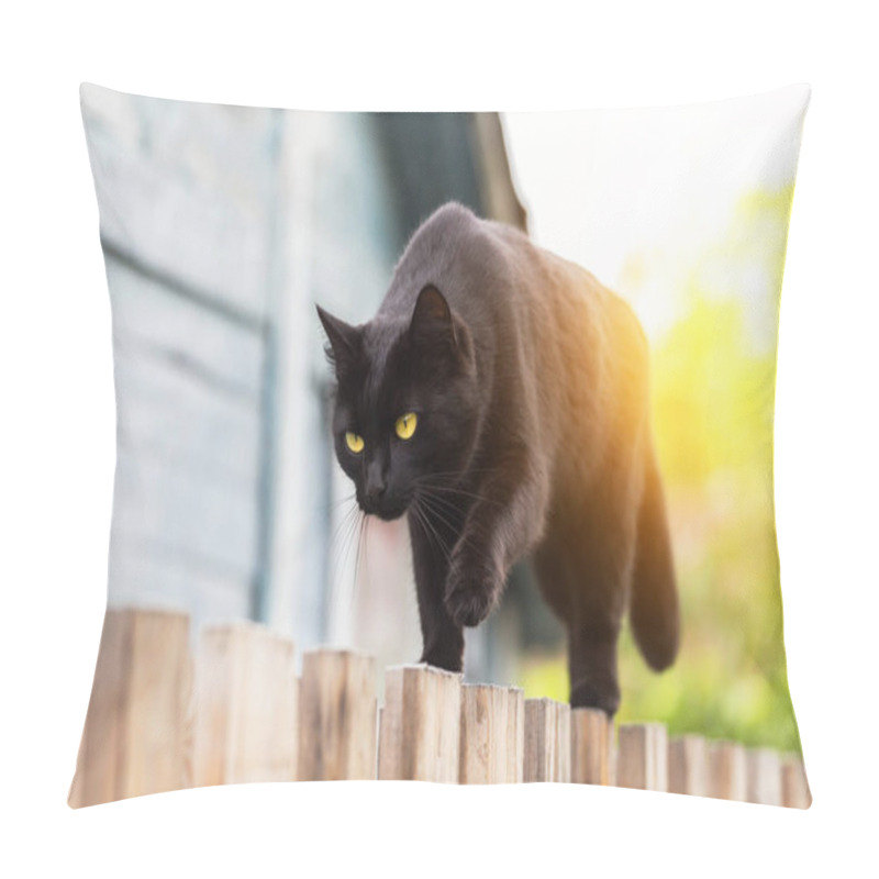 Personality  Beautiful bombay black cat with yellow eyes walking on wooden fence in village garden in sunlight pillow covers