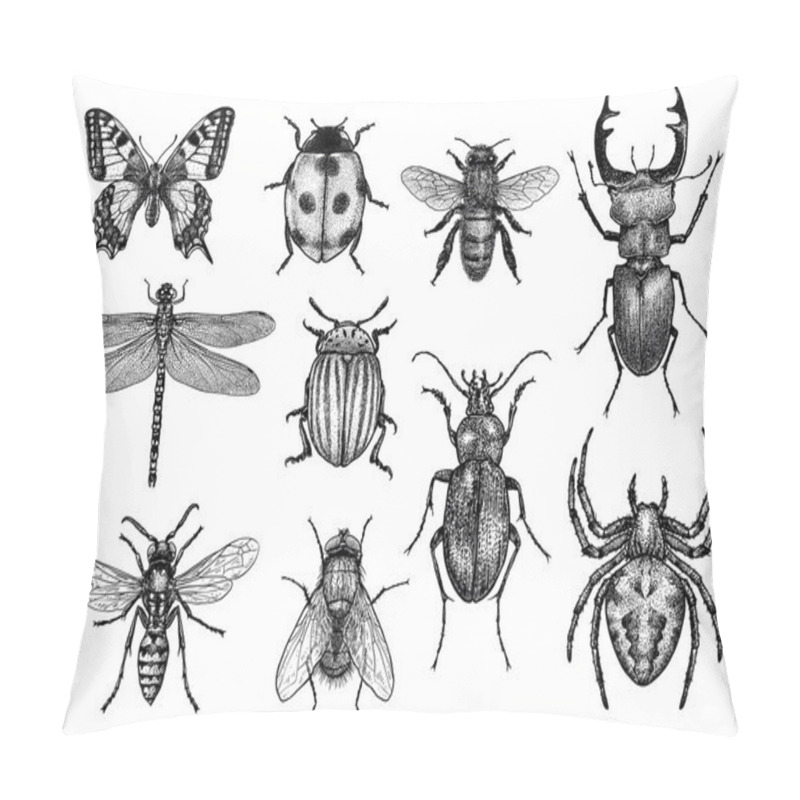 Personality  Engraved, Drawn,  Illustration, Insect, Collection, Group Pillow Covers