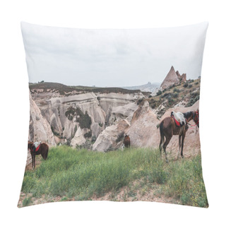 Personality  Horses Pillow Covers