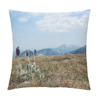 Personality  Spring Flowers In Mountains Pillow Covers