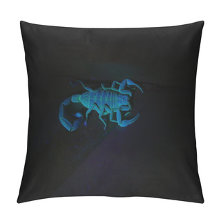 Personality  Scorpion Under Ultraviolet Light 4 Pillow Covers