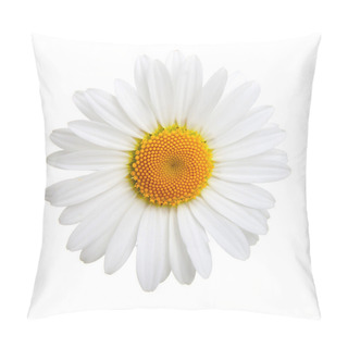 Personality  One Camomile Isolated On White Background Pillow Covers