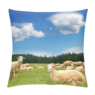 Personality  Herd Sheep On Beautiful Mountain Meadow Pillow Covers