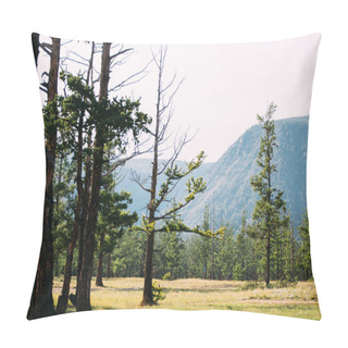 Personality  The Kurma Gorge On The Lake Baikal. Beautiful Mountain And Fores Pillow Covers