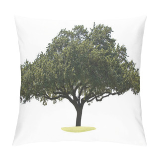 Personality  Oak Tree Isolated On White Pillow Covers