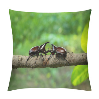 Personality  Rhinoceros Beetle Pillow Covers