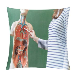 Personality  Young Female Teacher In Biology Class, Teaching Human Body Anatomy, Using Artificial Body Model To Explain Internal Organs. Finger Pointing To Blood Vessels System. Pillow Covers