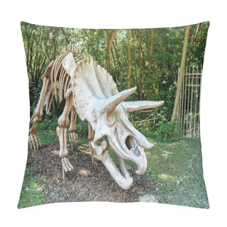 Personality  Triceratops Fossil Skeleton Over Natural Background Pillow Covers