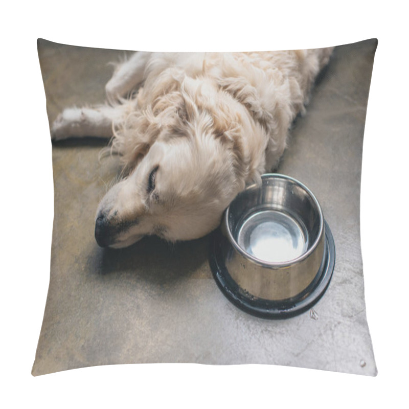 Personality  adorable golden retriever dog lying metal bowl on floor at home pillow covers