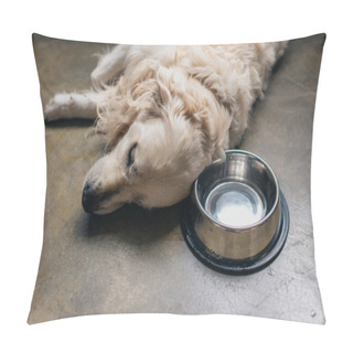 Personality  Adorable Golden Retriever Dog Lying Metal Bowl On Floor At Home Pillow Covers