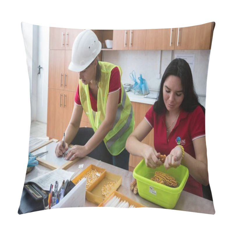 Personality  Laboratory At The Seed Plant In Cherkasy Region, Ukraine Pillow Covers