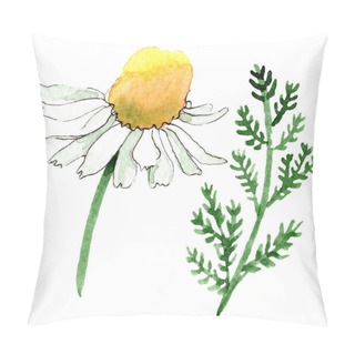 Personality  Chamomile Flower And Leaf. Spring White Wildflower Isolated. Watercolor Background Illustration Set. Watercolour Drawing Fashion Aquarelle Isolated. Isolated Chamomile Illustration Element. Pillow Covers
