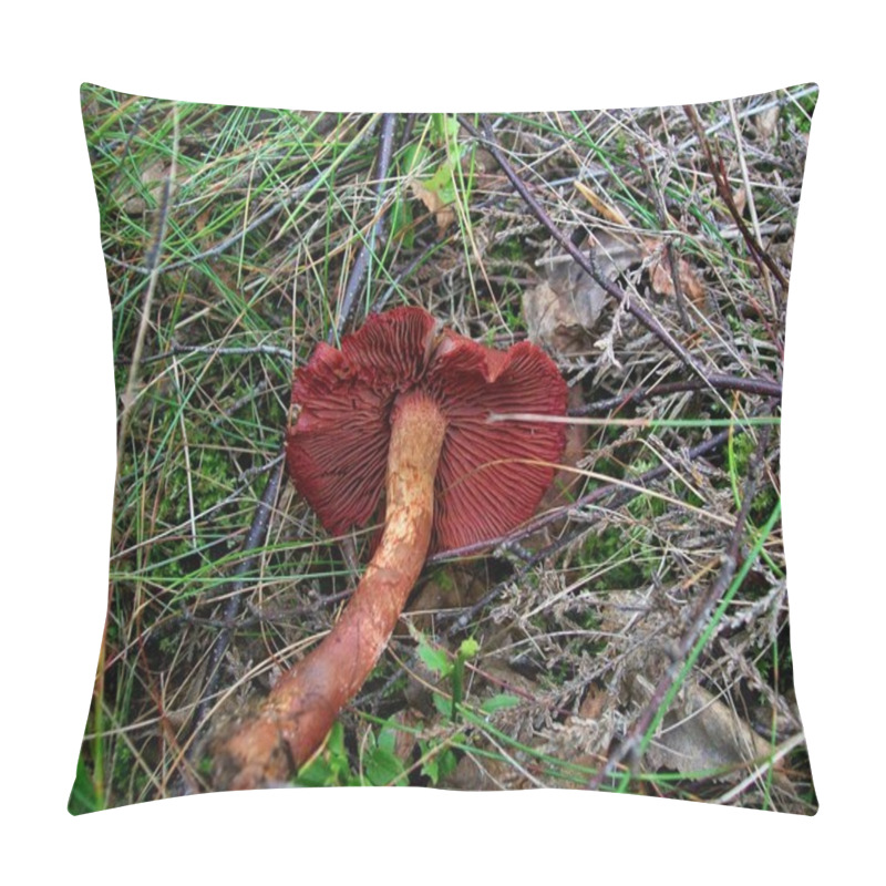 Personality  Mushroom Cortinarius Sanguineus Pillow Covers