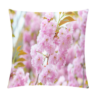 Personality  Sakura Flowers With Pink Petals In Spring Pillow Covers