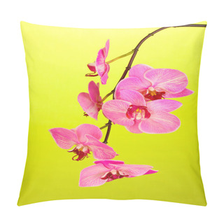Personality  Beautiful Blooming Orchid On Green Background Pillow Covers