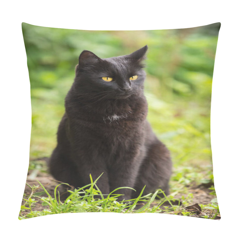 Personality  Beautiful cute bombay black cat with yellow eyes and insight look sits in green grass in nature in spring garden, meadow, lawn pillow covers