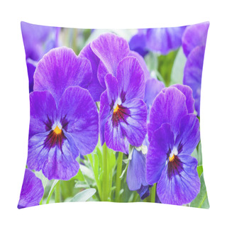 Personality  Blue Pansy Pillow Covers
