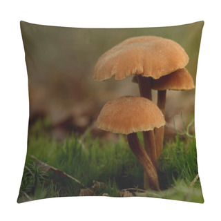 Personality  Toadstool , Mushroom Pillow Covers