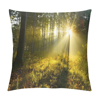 Personality  Beautiful Morning Sunbeams In Autumn Forest Pillow Covers