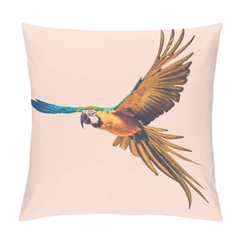 Personality  Flying parrot toned pillow covers