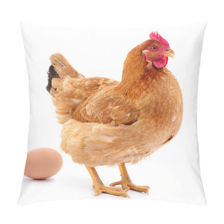 Personality  Brown Hen And Egg. Pillow Covers