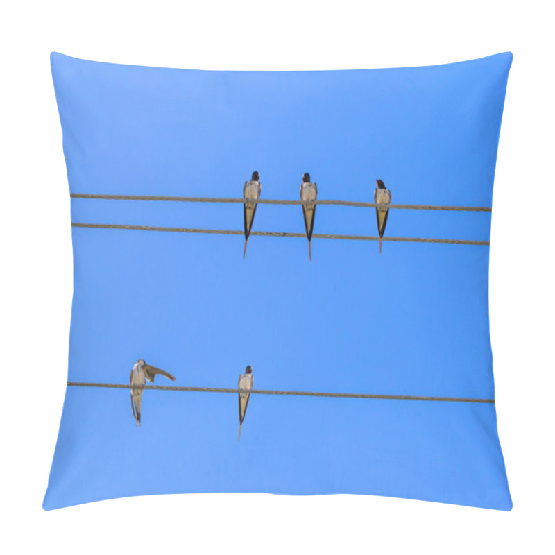 Personality  Birds On Wires. Pillow Covers