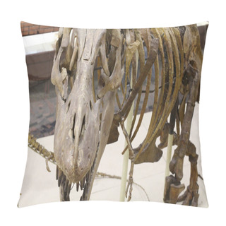 Personality  Paleontological Museum. Skulls And Skeletons Of Dinosaurs. Pillow Covers