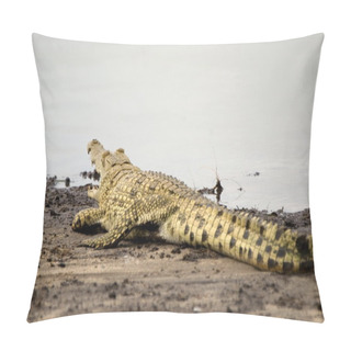 Personality  Crocodile, Selous Game Reserve, Tanzania Pillow Covers