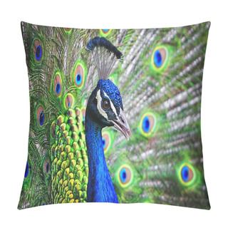 Personality  Colorful Peacock Portrait Pillow Covers