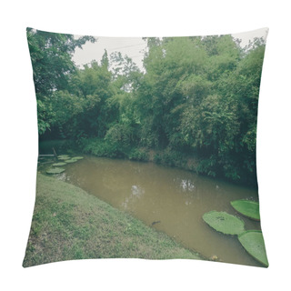 Personality  Aquatic Landscape Of Tropical Rainforest At A Vacation House In Phuket Thailand Pillow Covers