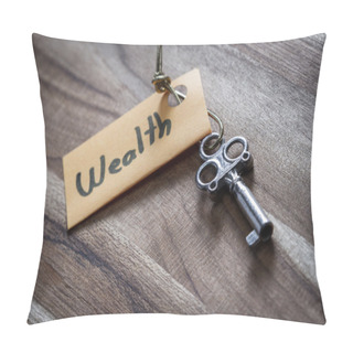 Personality  Secret Key For A Wealthy Life  Pillow Covers