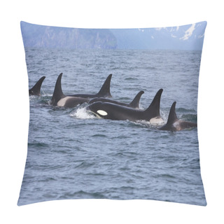 Personality  Killer Whale Group In The Wild Pillow Covers