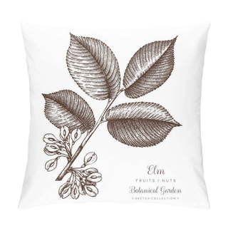 Personality  American Elm Botanical Illustration.  Pillow Covers