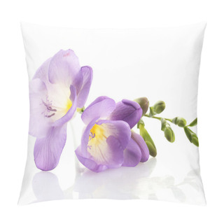Personality  Purple Freesia Flower, Isolated On White Pillow Covers